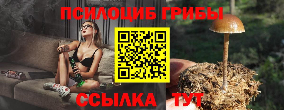 Тейково  Галлюциногенные грибы Psilocybine cubensis  Вход с VPN 